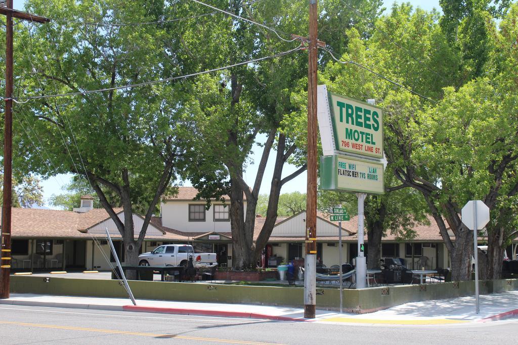Trees Motel บิชอป ภายนอก รูปภาพ